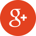 Google+ icon